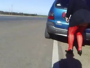 La perra obligó al t ...